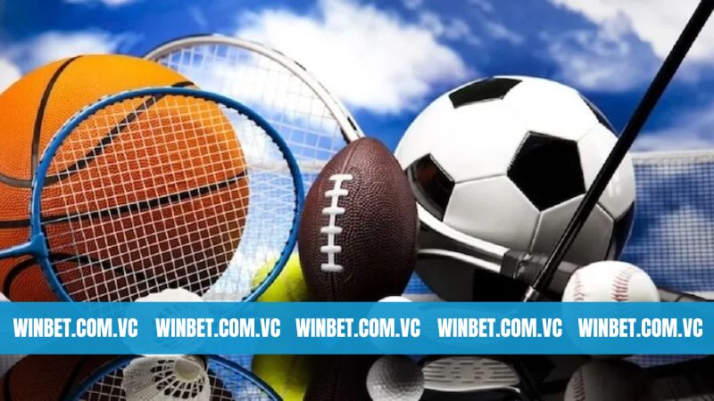 Tổng hợp những bộ môn cá cược cực hấp dẫn tại thể thao Winbet 
