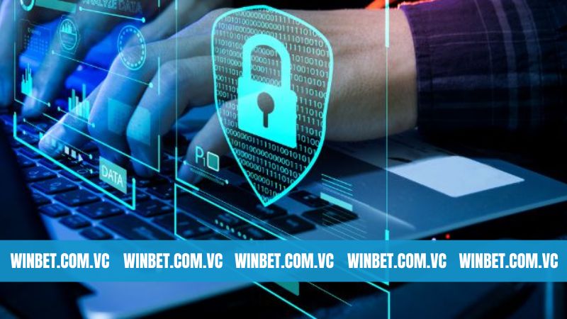 Quy định về điều khoản bảo mật thông tin Winbet