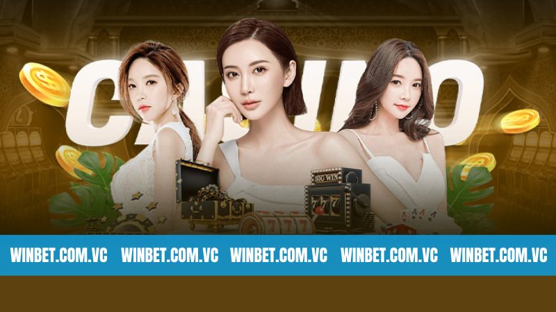 Đôi nét về cơ hội nhận thưởng hấp dẫn tại Winbet