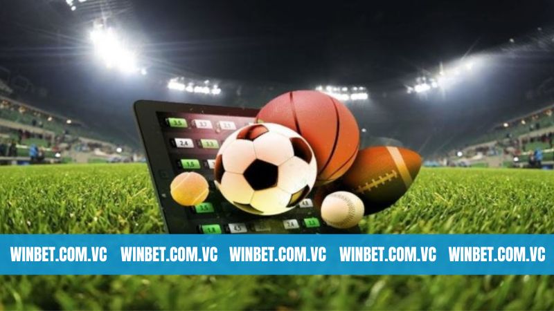 Đôi nét giới thiệu chung sảnh cá cược Winbet thể thao 