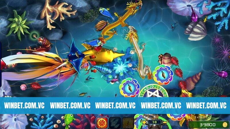 Giới thiệu một số chiến lược săn cá siêu hiệu quả tại Winbet