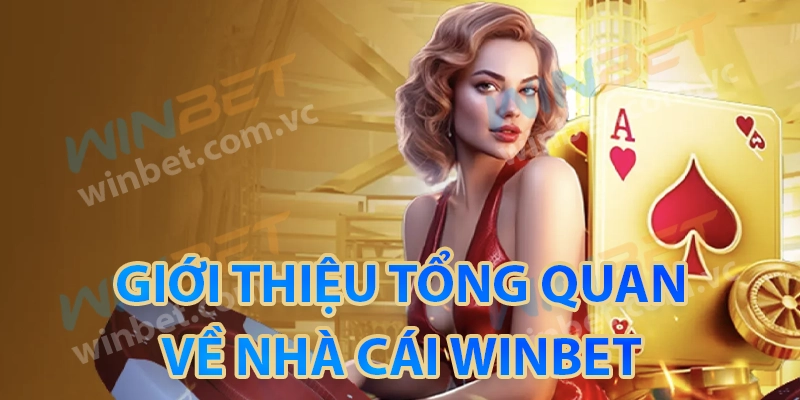 Tổng quan về nhà cái Winbet