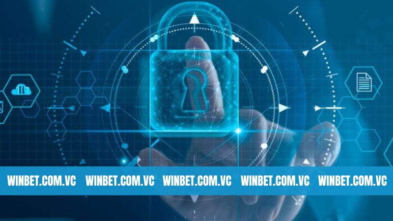 Lợi ích khi bảo trì Winbet thành công